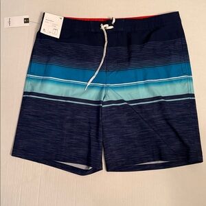 Men's Blue Striped Shorts